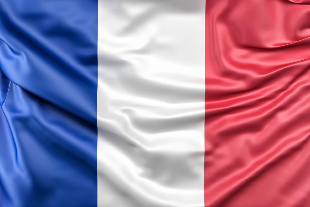 flag of france site