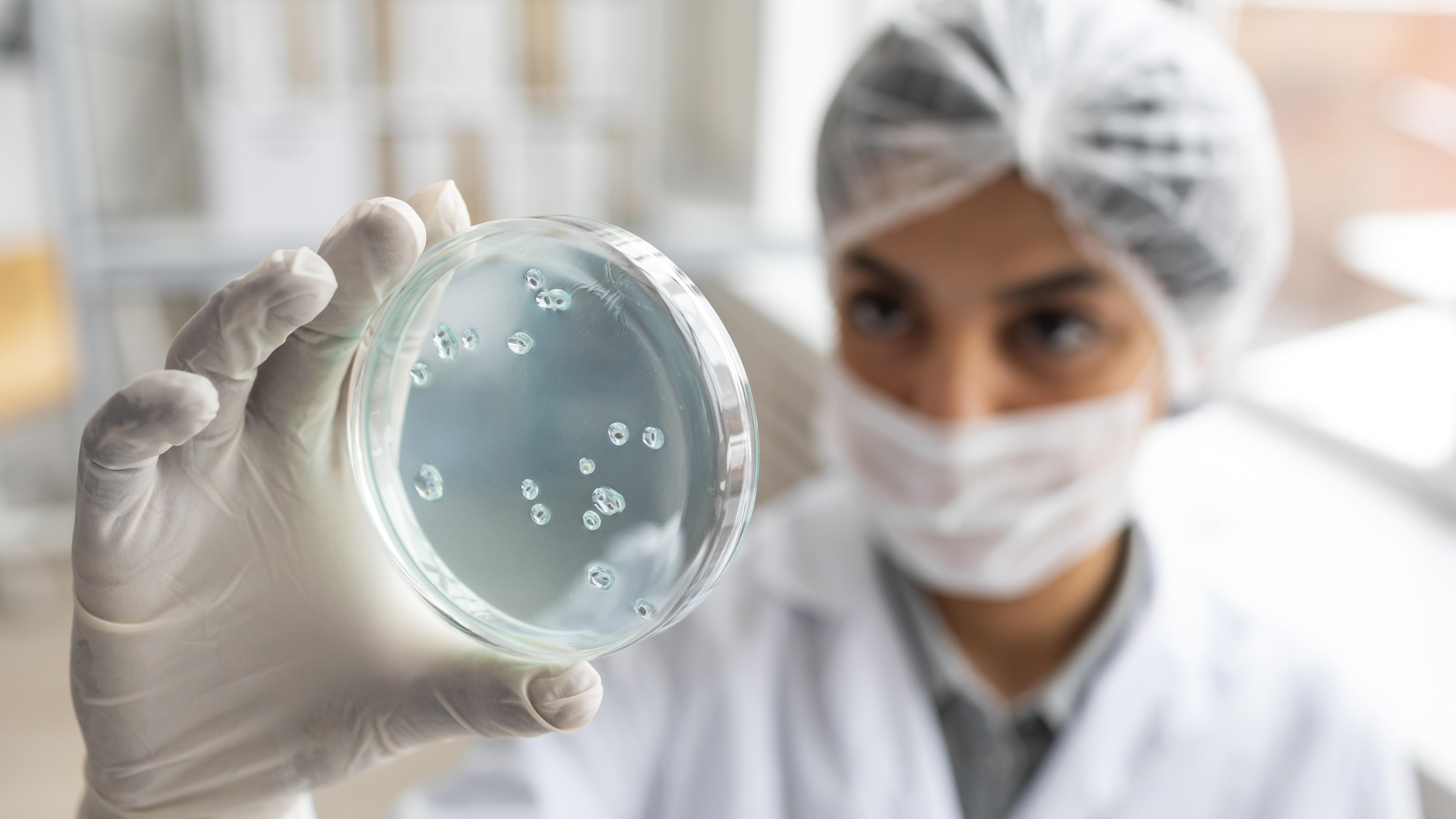 um cientista embacado segurando uma placa de petri