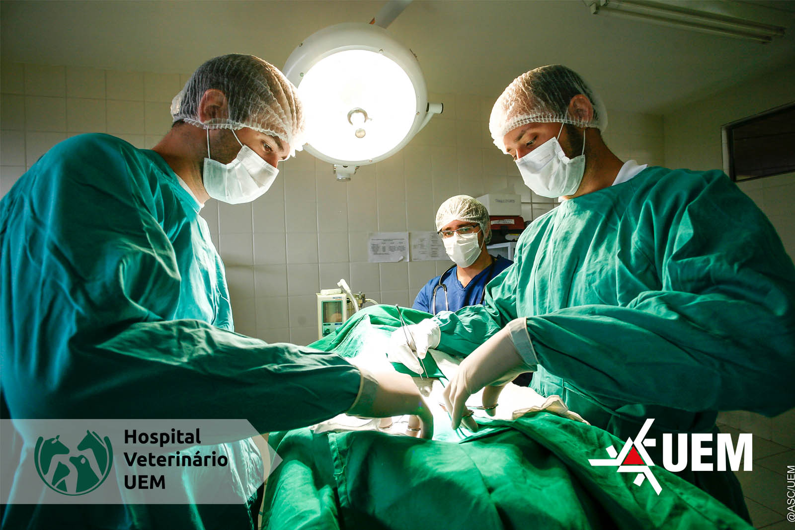 Hospital Veterinário