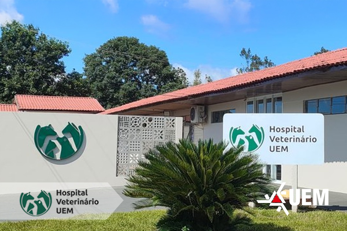 WhatsApp Image 2025 09 11 at 16.47.37 site