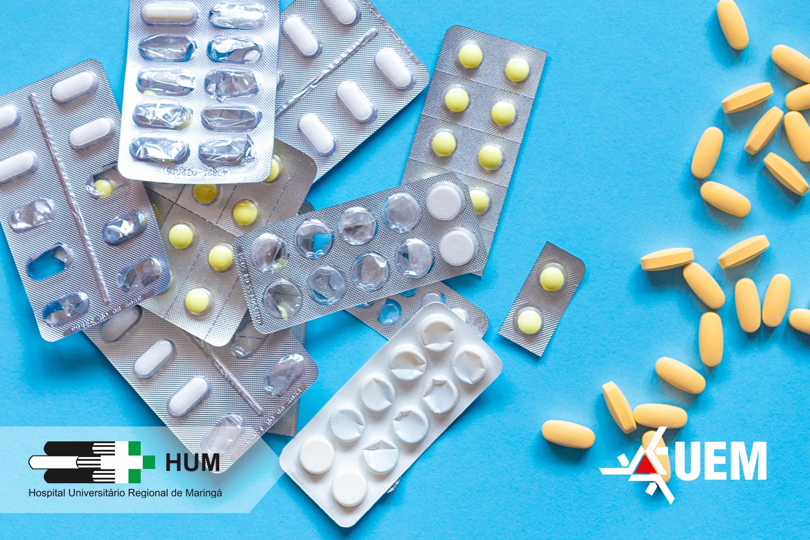 WhatsApp Image 2025 09 12 at 09.48.12