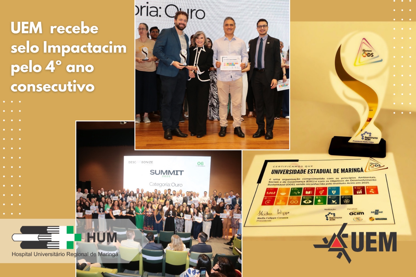 WhatsApp Image 2025 11 07 at 16.41.18