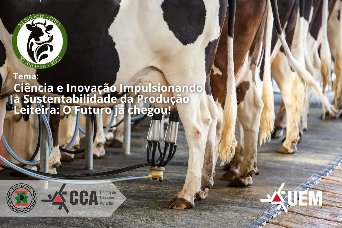 XI Sul Leite 2
