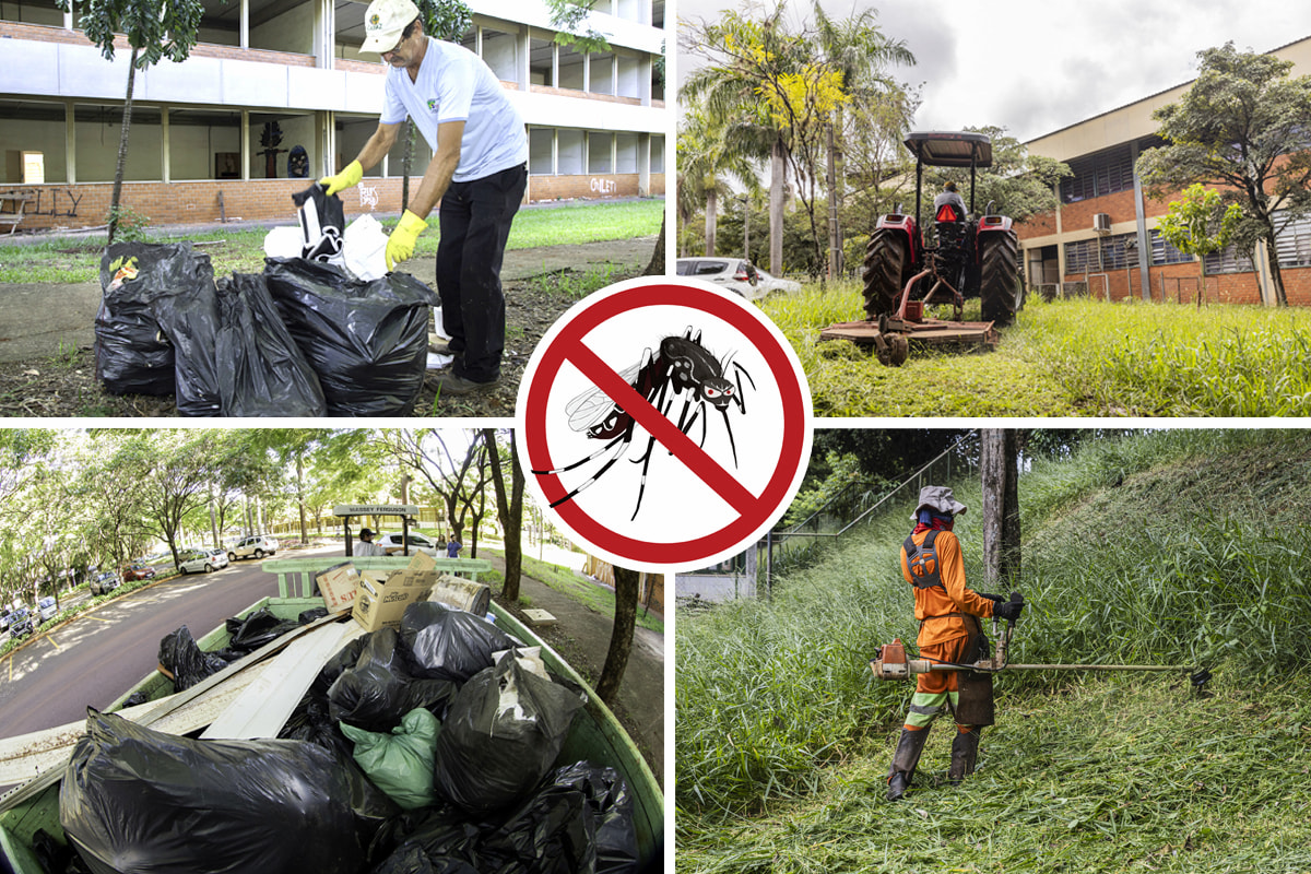 campanha dengue 1