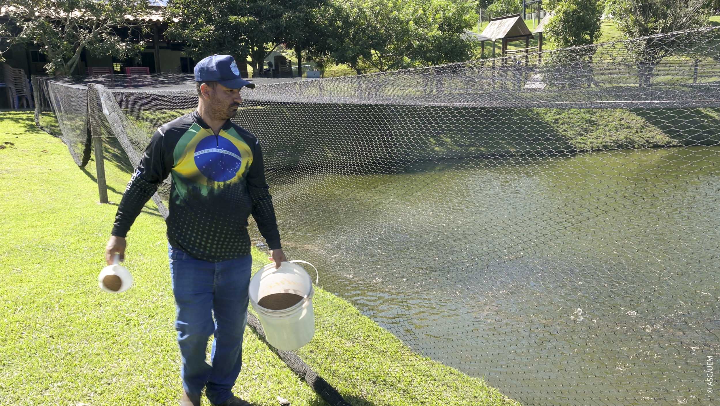 2026 02 05 Peixegen Tilamax Tilapia Piscicultura Floriano52