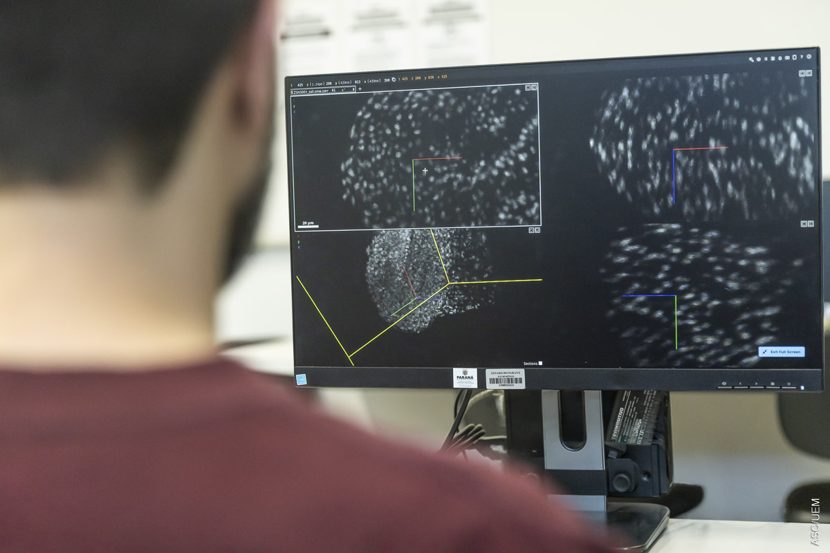 Doutorando da UEM conquista o 1º lugar em desafio internacional de IA