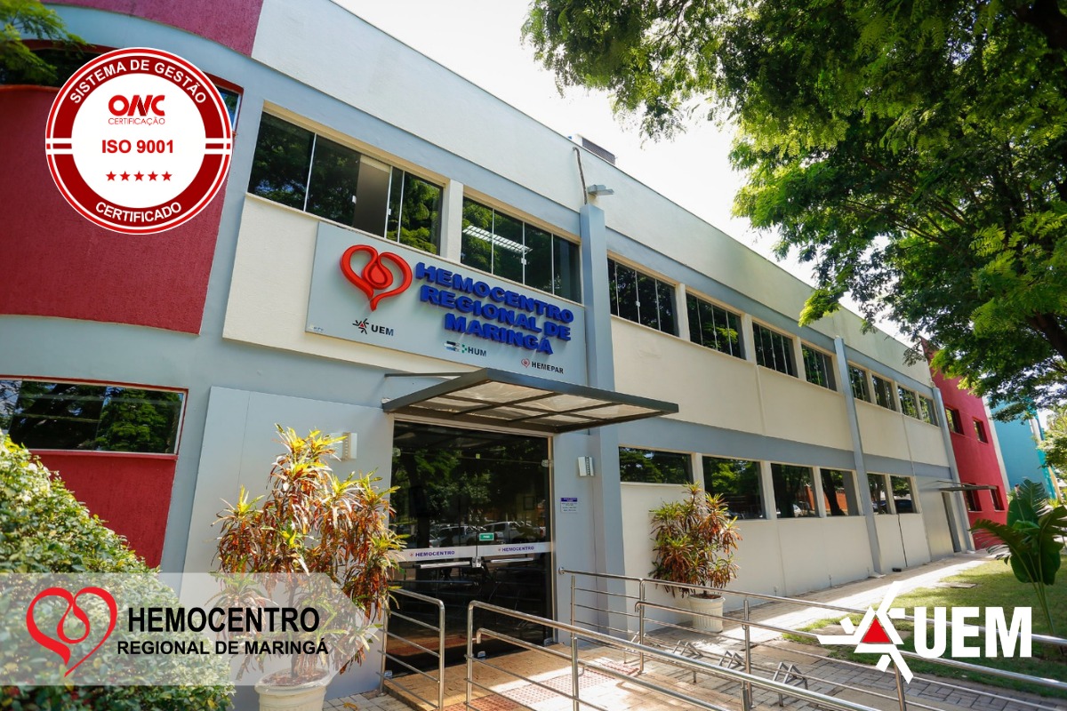 WhatsApp Image 2026 03 19 at 15.26.37