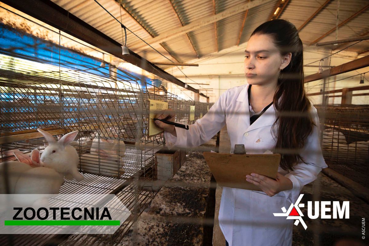 Zootecnia na UEM une ci&ecirc;ncia, pr&aacute;tica e inova&ccedil;&atilde;o no setor agropecu&aacute;rio
