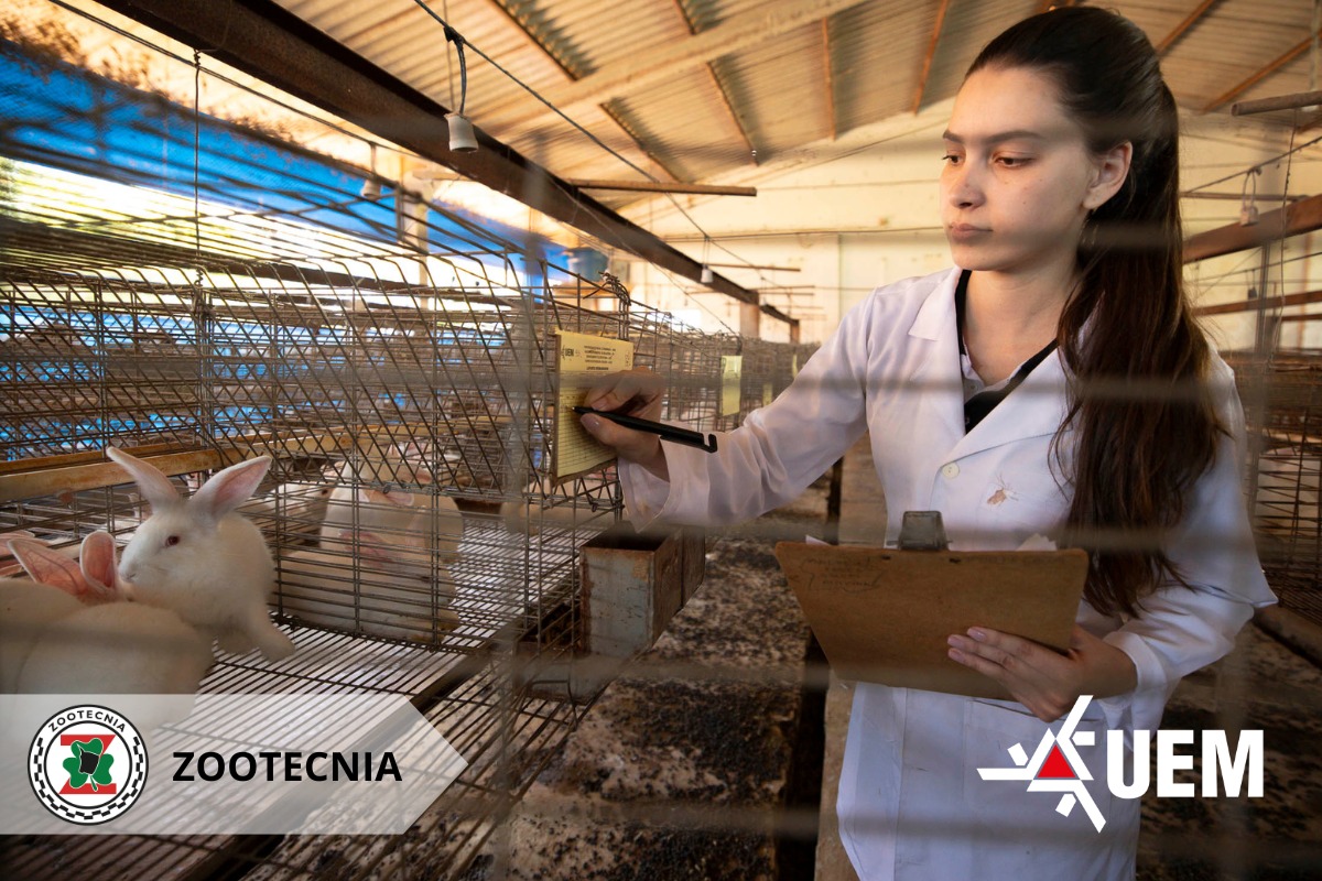 WhatsApp Image 2026 04 15 at 13.58.50