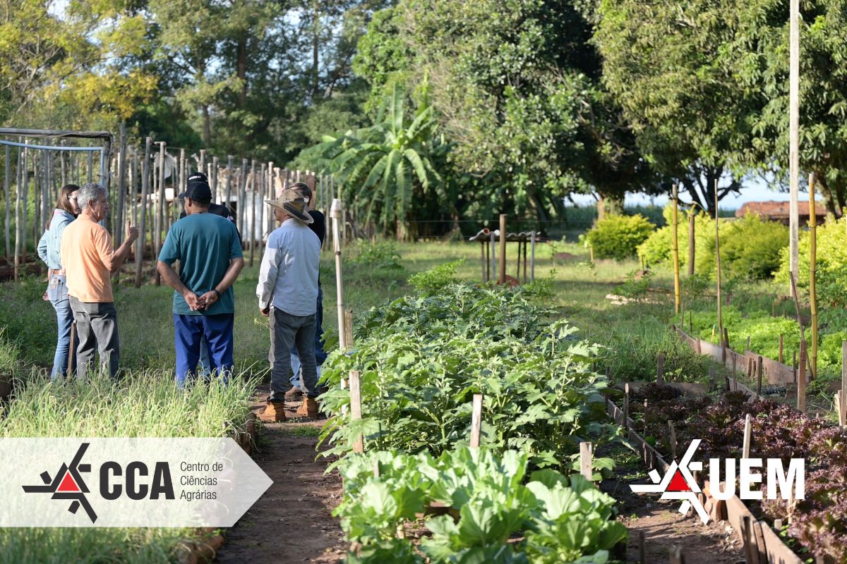 Projeto leva hortas &agrave;s casas de recupera&ccedil;&atilde;o para dependentes qu&iacute;micos