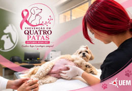 UEM promove ações sobre prevenção de tumores mamários em cães e gatos