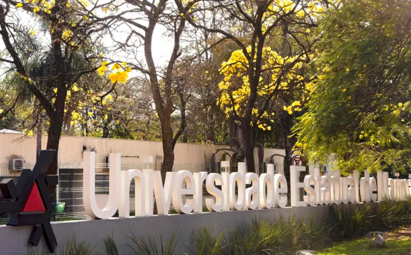 uem-e-destaque-em-ranking-universitario-da-folha
