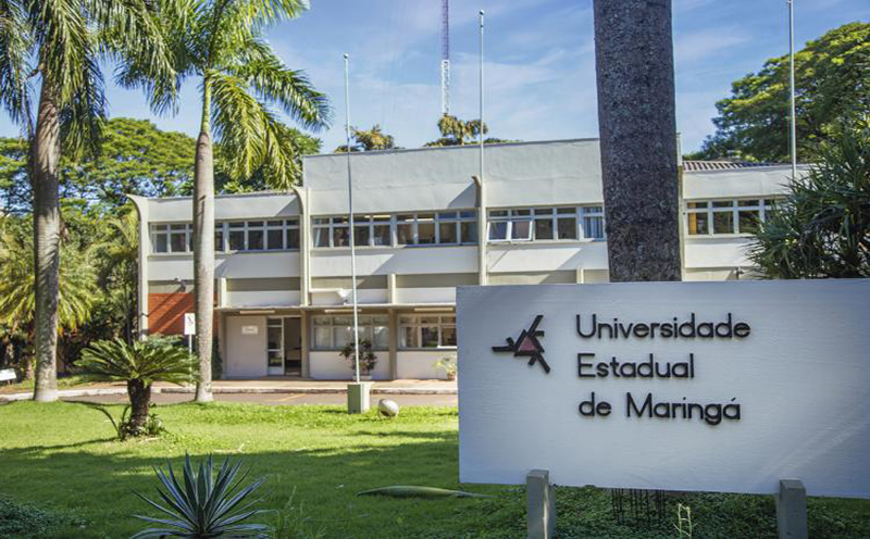 universidade-do-parana-abre-pss-com-salarios-de-ate-r-106-mil