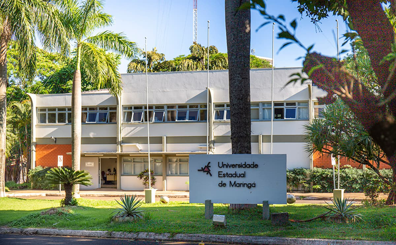 novas-graduacoes-saiba-quais-sao-os-5-novos-cursos-ofertados-pela-uem