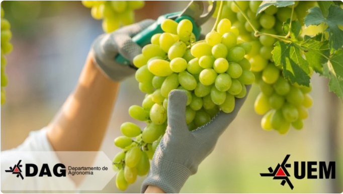 b274ccca-9ff7-4dd9-b9c0-fb5f9728e062