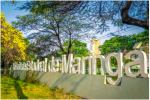 475cdae7-98bf-47a0-8de0-04a8621a6558