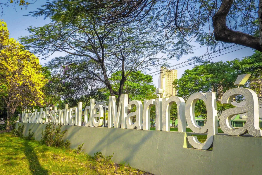 captura-de-tela-2025-12-19-144037