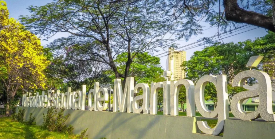 captura-de-tela-2026-01-20-163517