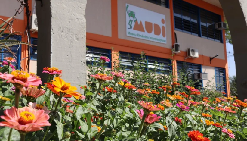 captura-de-tela-2026-02-02-144553